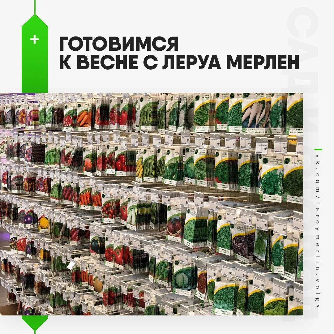 Леруа мерлен волжский 2024 каталог. Леруа. Магазин Леруа Мерлен. Товары для сада и огорода. Товары в Леруа.