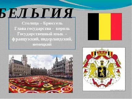 Определите форму правления бельгия