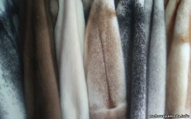 Норка 206. Какой цвет у меха натуральной норки. Мех норка натуральный некрашенный. Цвета норки. Норка 206.