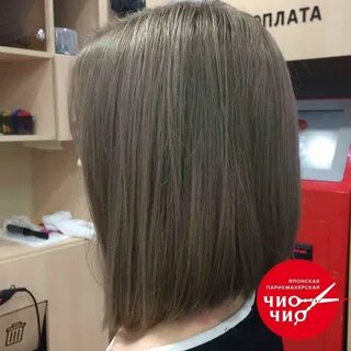 Чио чио саранск
