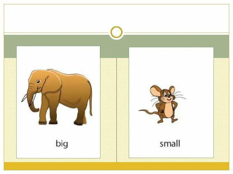 Big small animals. Карточки big small. Big small для детей. Презентация big small. Животные big small.