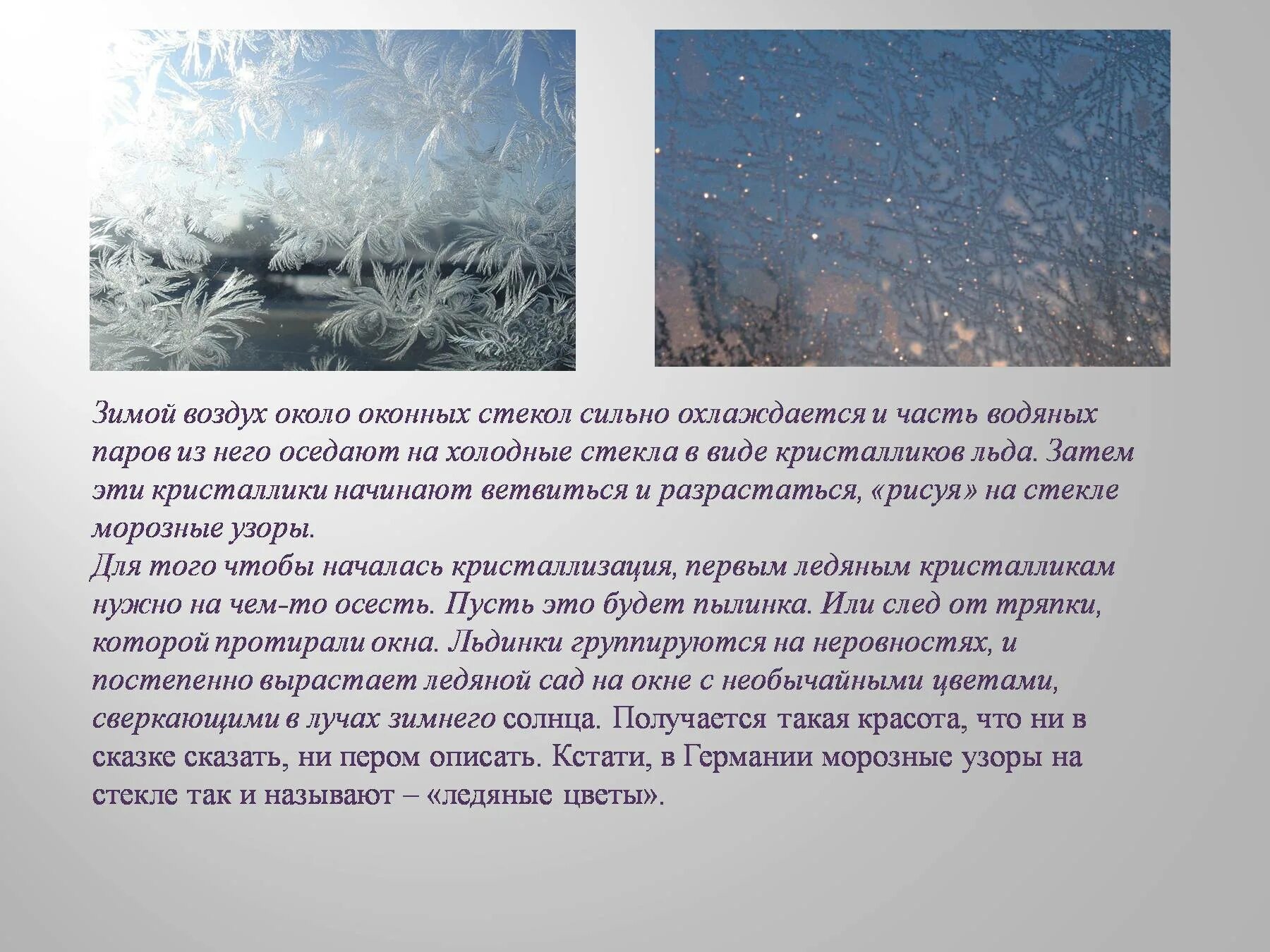 После духоты вагона морозный воздух кажется. Вид за окном зимой сочинение. Сочинение описать вид из окна. Описание зимних узоров на стекле. Зимний вид из окна сочинение.