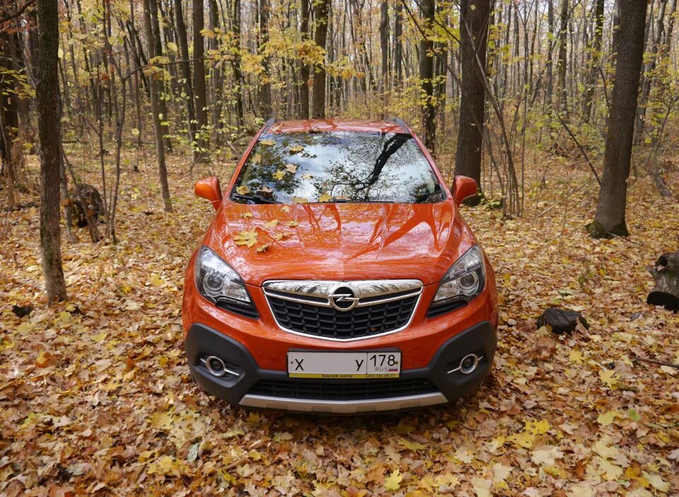 Опель мокка задний мост. Opel mokka. opel mokka рыжая. опель мокка 2013 оранжевая. опель мокка 2014 оранжевый.