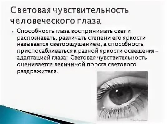 Строение глаза роговица хрусталик. Презентация на тему глаза человека. Орган зрения презентация. Абсолютный порог чувствительности это. Скотома бьеррума.