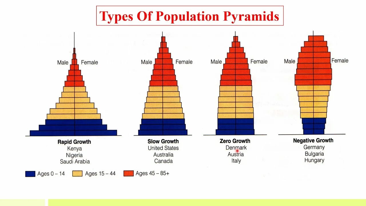 Types age. Population pyramid. world population pyramid. type of population. population pyramid for an ageing population.