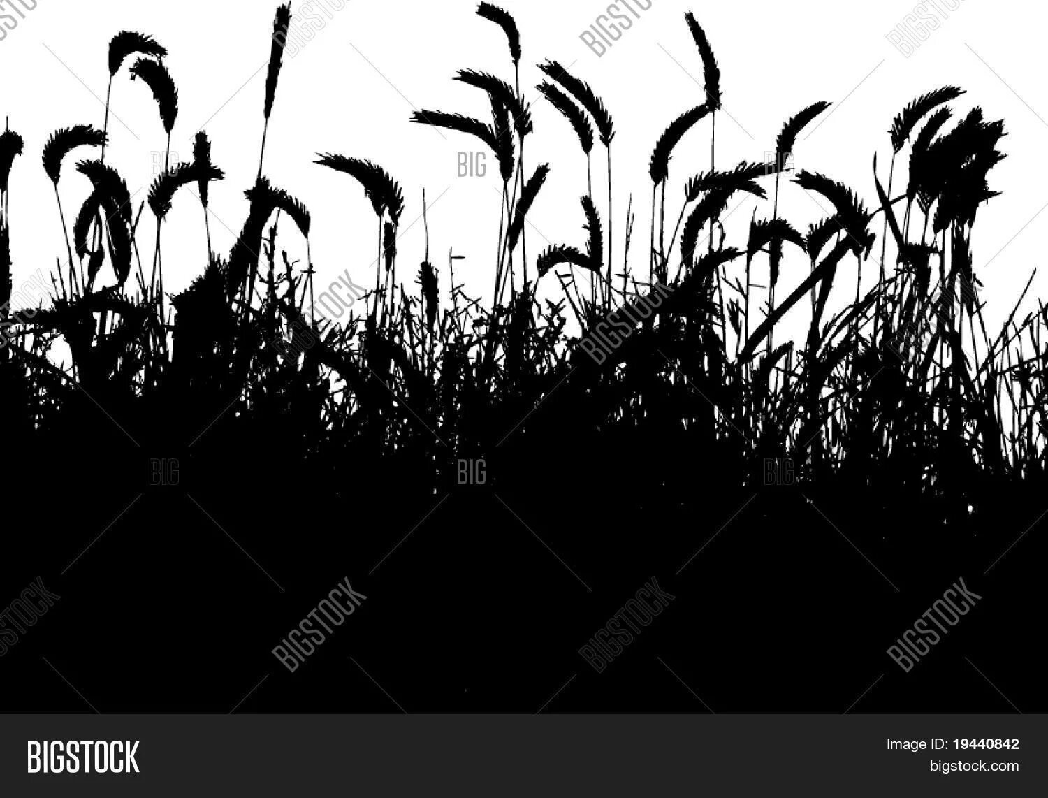 Поле силуэт. Поле силуэт. Травинки силуэт. Поле силуэт. Колосок силуэт.