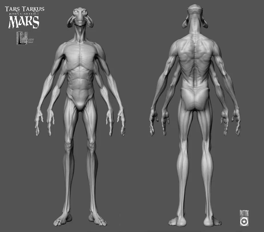 Человек в 3/4 референс в полный рост. Анатомия. Референс 3 человека в полный рост. Чертеж человека. Тело человека схема спереди сбоку.