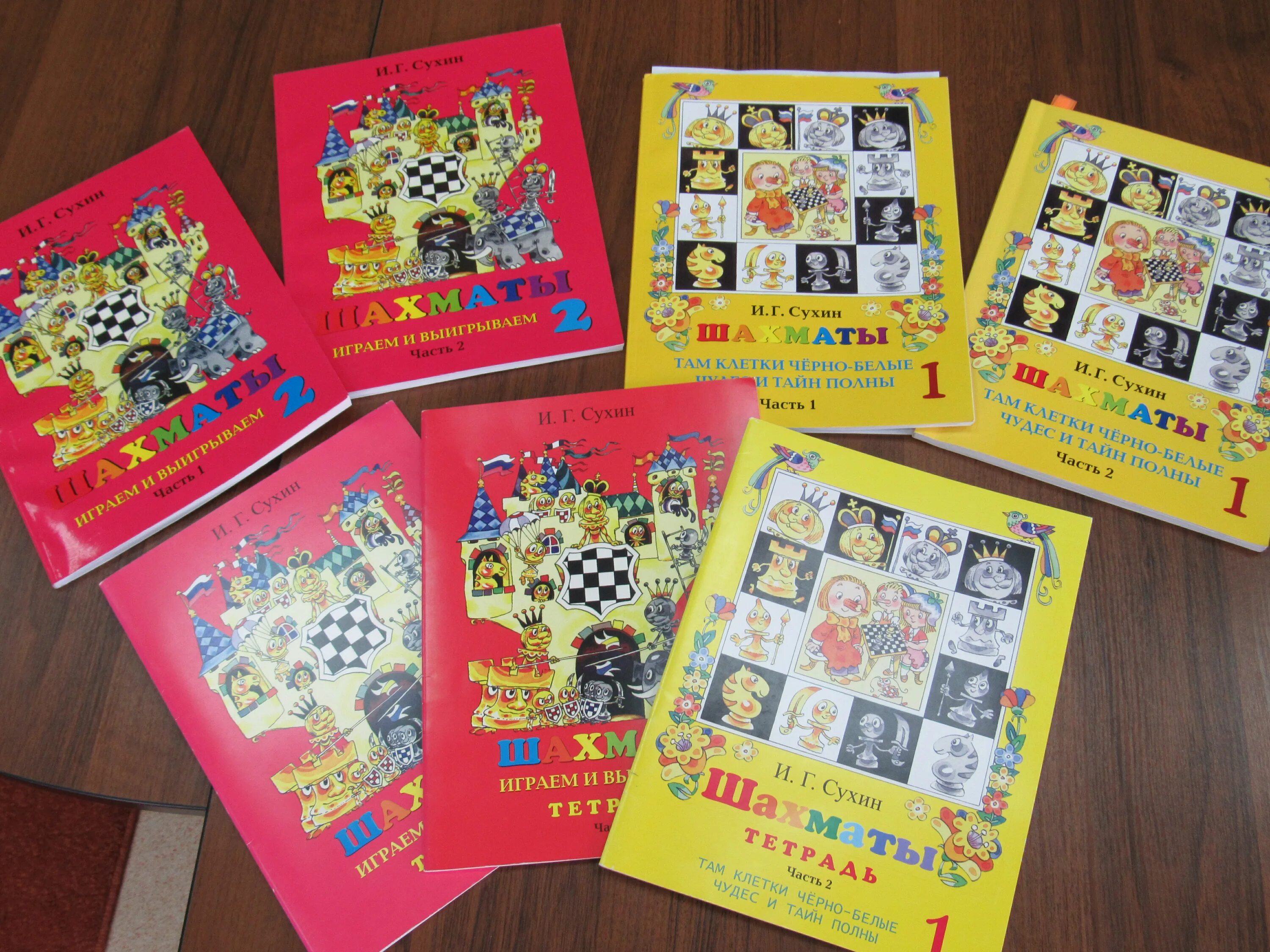 Chess программы. Программы по шахматам для дошкольников. Шахматная программа каисса 1974. Шахматы какая направленность дополнительного образования. Дополнительная программа шахматы.