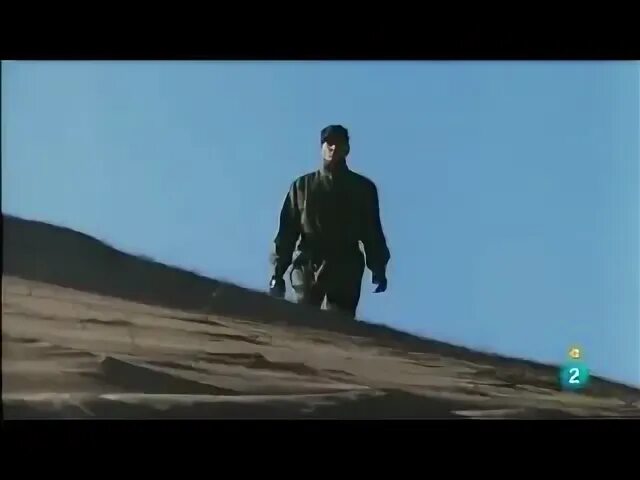 Товарищ тай