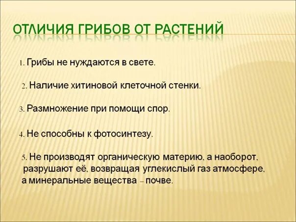 Различия грибов и растений