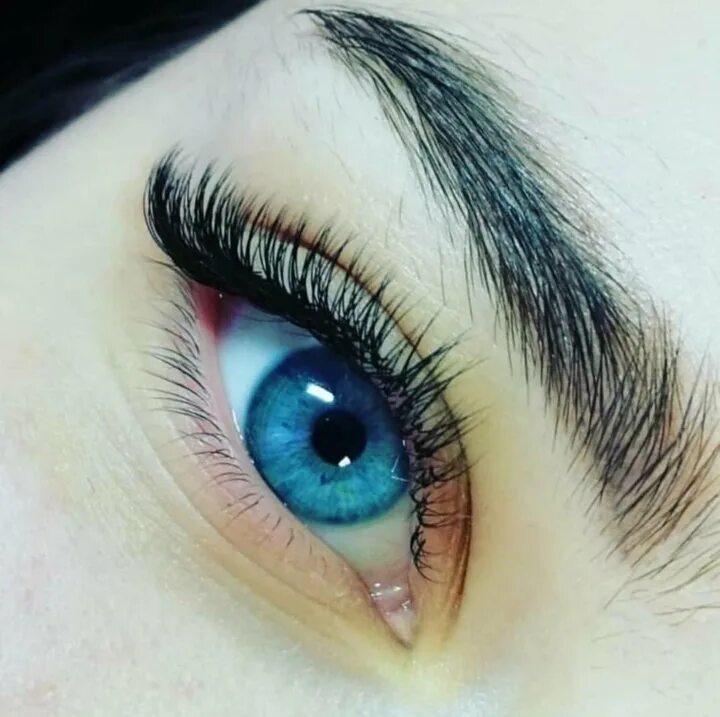 ресницы белочка 2д. наращивание ресниц кошачий глаз. классика изгиб д. ресницы 4д голливуд лисий. наращивание ресниц кошачий глаз.