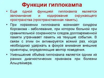 Функции гиппокампа