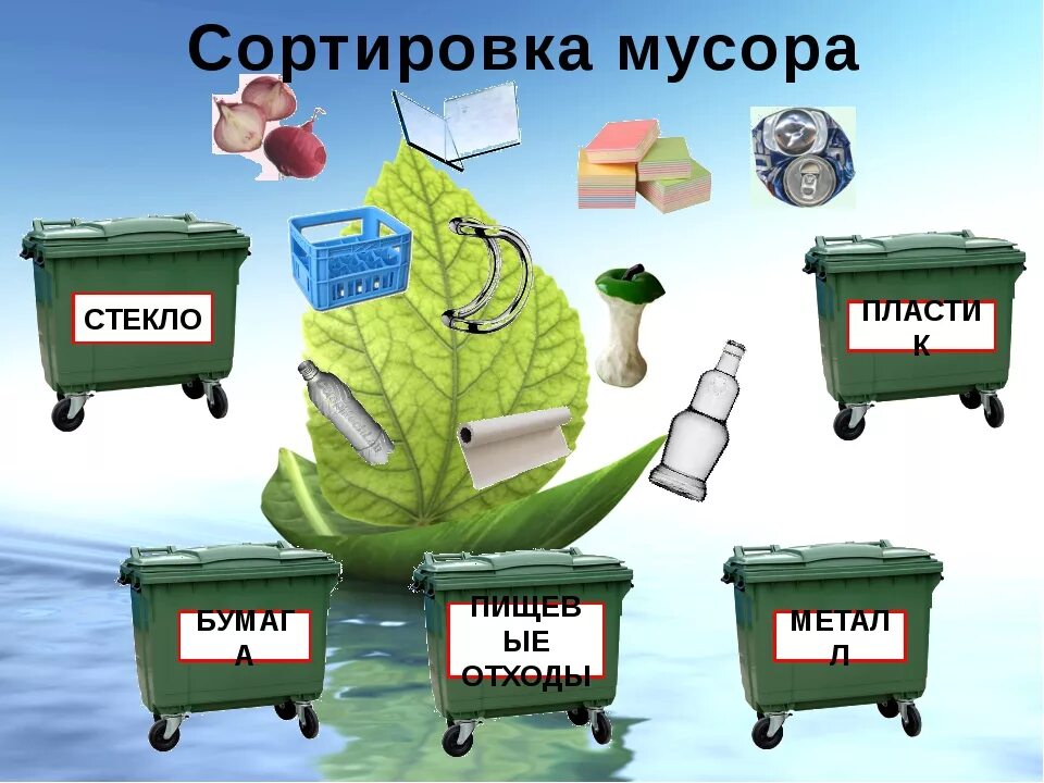 Название бытовых отходов. Сортировка отходов для детей.