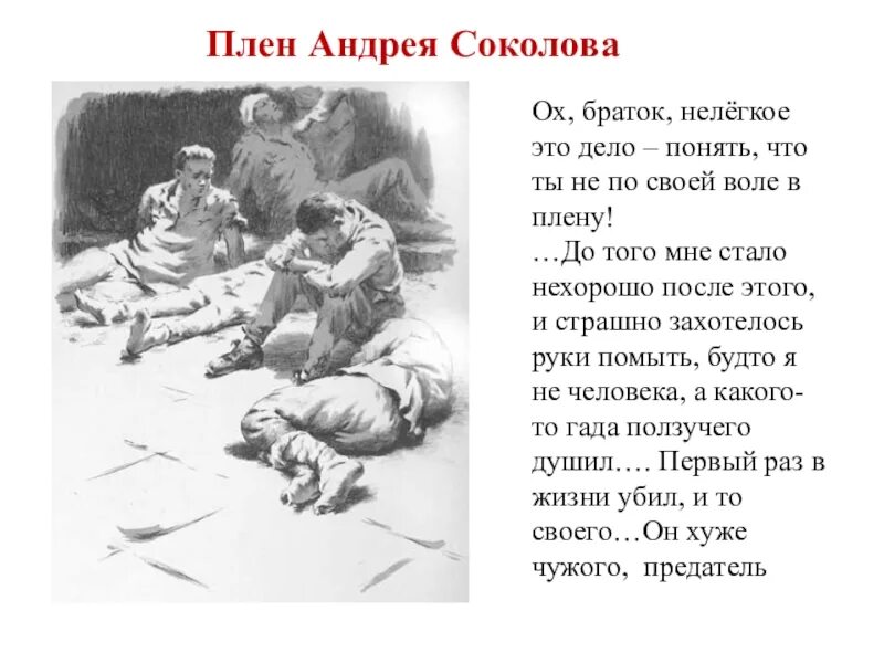 Что общего в судьбе андрея и ванюши. Плен Соколова судьба человека. Шолохов судьба человека Соколов. Плен Андрея Соколова из судьба человека.