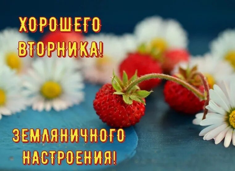 Доброе утро среда позитивные. Доброе утро вторника. хорошего летнего вторника. открытки со вторником. доброе летнее утро вторника.