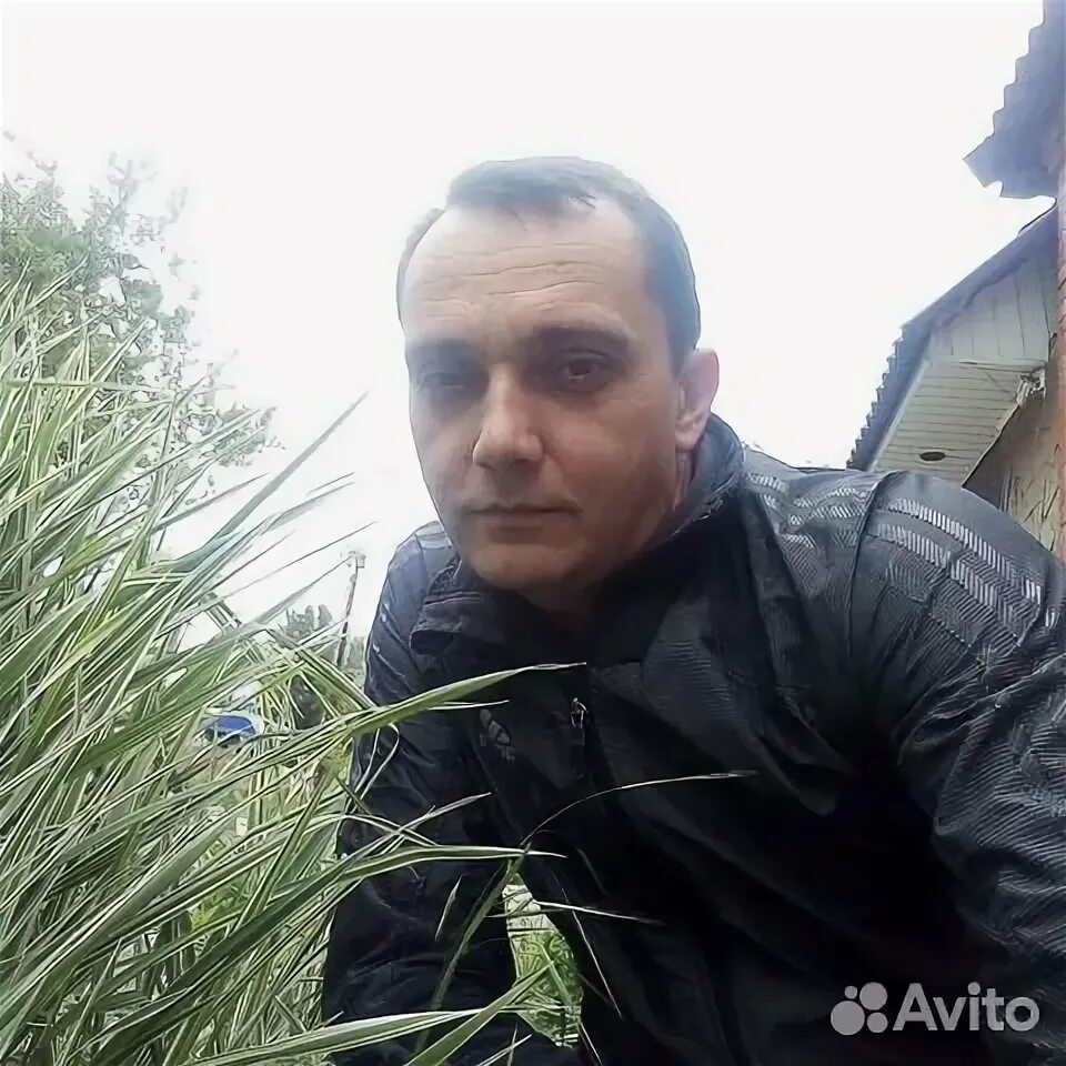 Шпак ростов на дону. Шпак ростов на дону