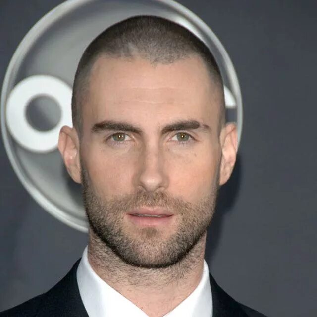 1 мм волос. Стрижка 6 мм 3 мм 0 мм. Adam Levine Buzzcut. Стрижка 0.5. Стрижка 0.6.