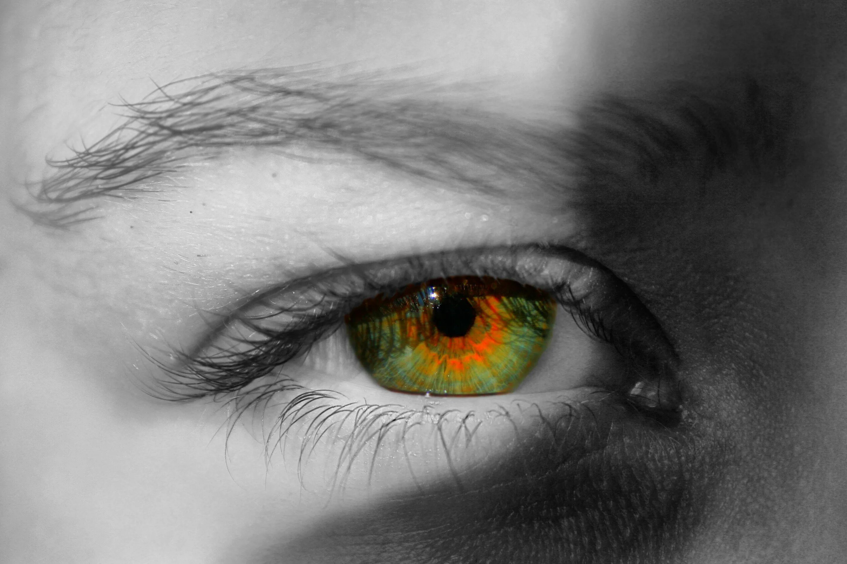 Красивые зеленые глаза мужские. Монохромные глаза. Черные глаза мужские. Мужской и женский глаз. Выражены глаза