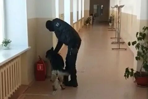 В улан удэ отменили занятия в школах