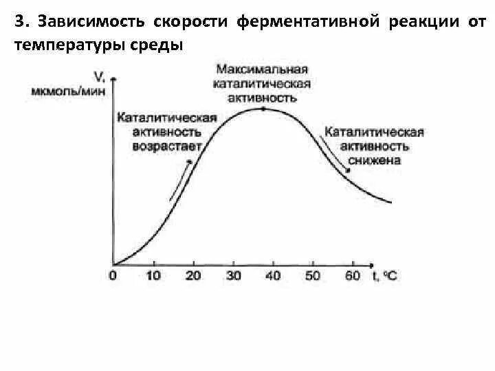 Зависимость скорости реакции от температуры ферменты. Зависимость скорости ферментативной реакции от температуры среды. Зависимость скорости ферментативной реакции от PH. График зависимости скорости ферментативной реакции от РН среды.