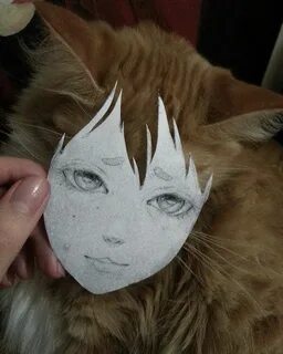 Cursed cat