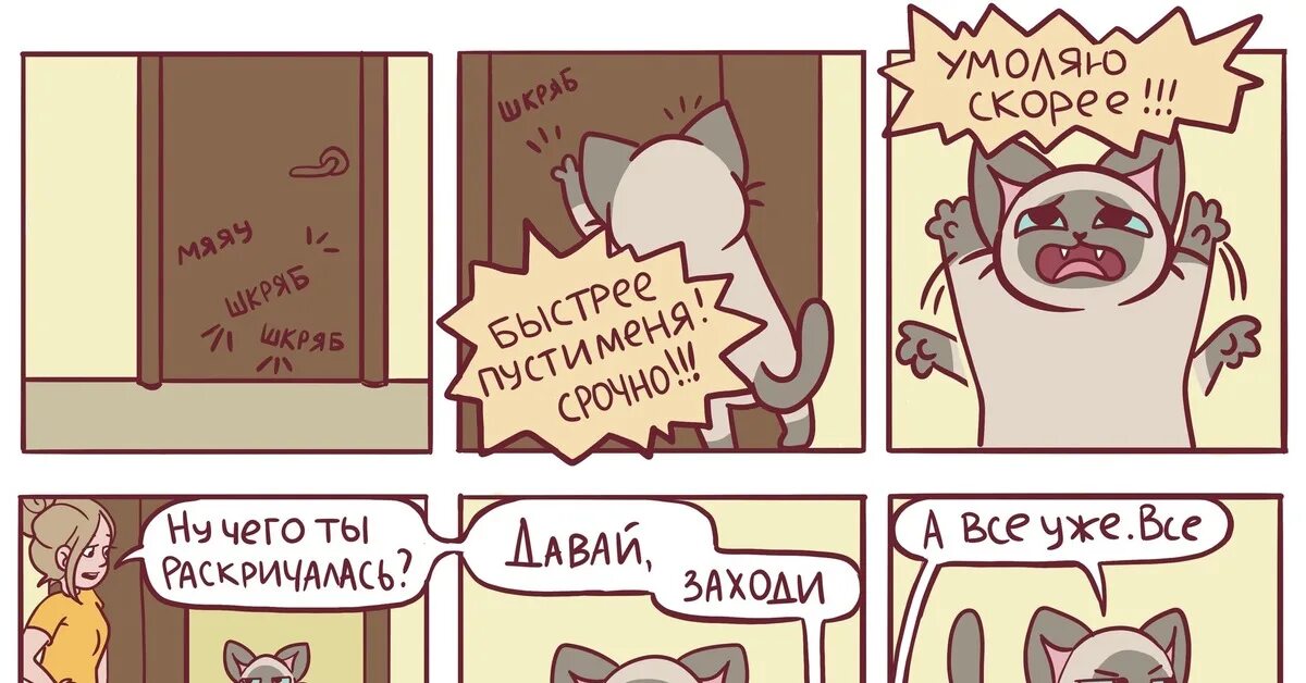 Раньше был кот. Юмор комикс милота. а раньше надо было котик. пикабу раньше. комикс милота будильник.