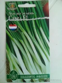 Отзыв зелень