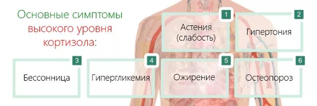 Холодный пот признаки. Высокий кортизол симптомы. Кортизол повышен симптомы. Повышенный кортизол у женщин симптомы. Снижение уровня кортизола у женщин.