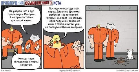 Последние пол года