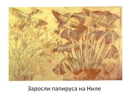 Заросшие за 50