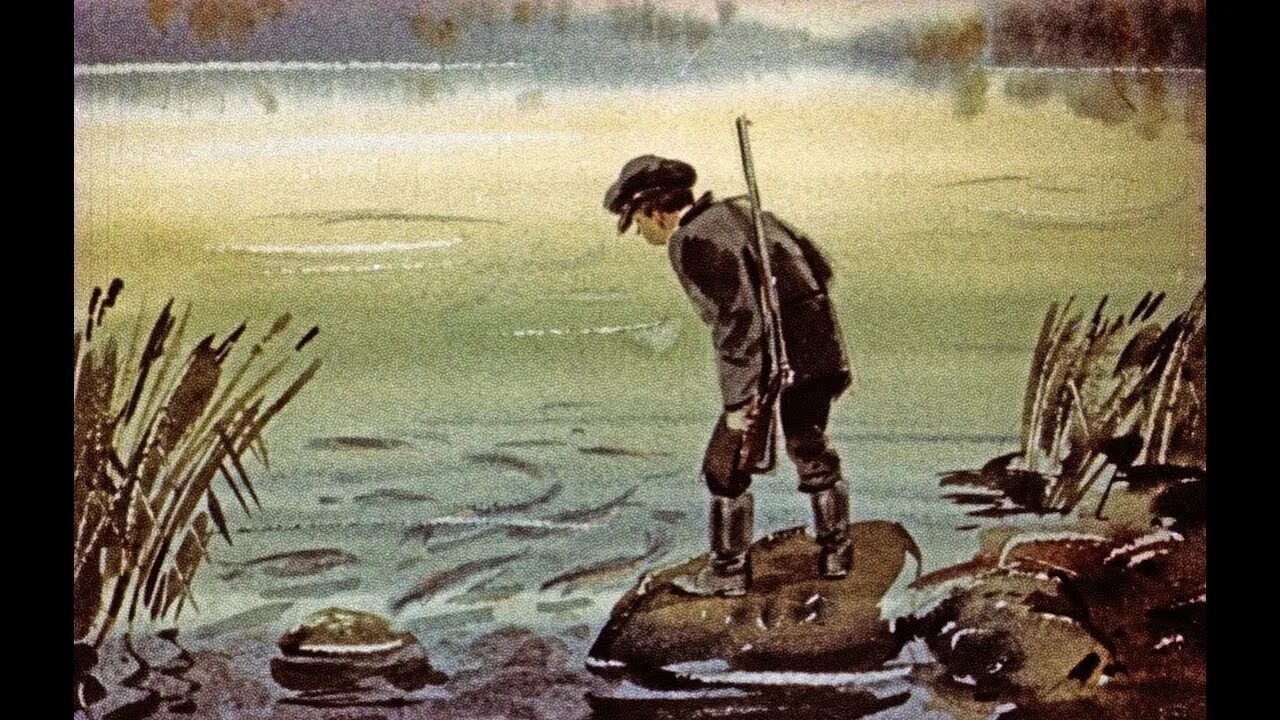 Как выглядит васютка из рассказа васюткино озеро. Васюткино озеро. астафьев вп восюткино озеро. астафьев в. &quot;васюткино озеро&quot;.