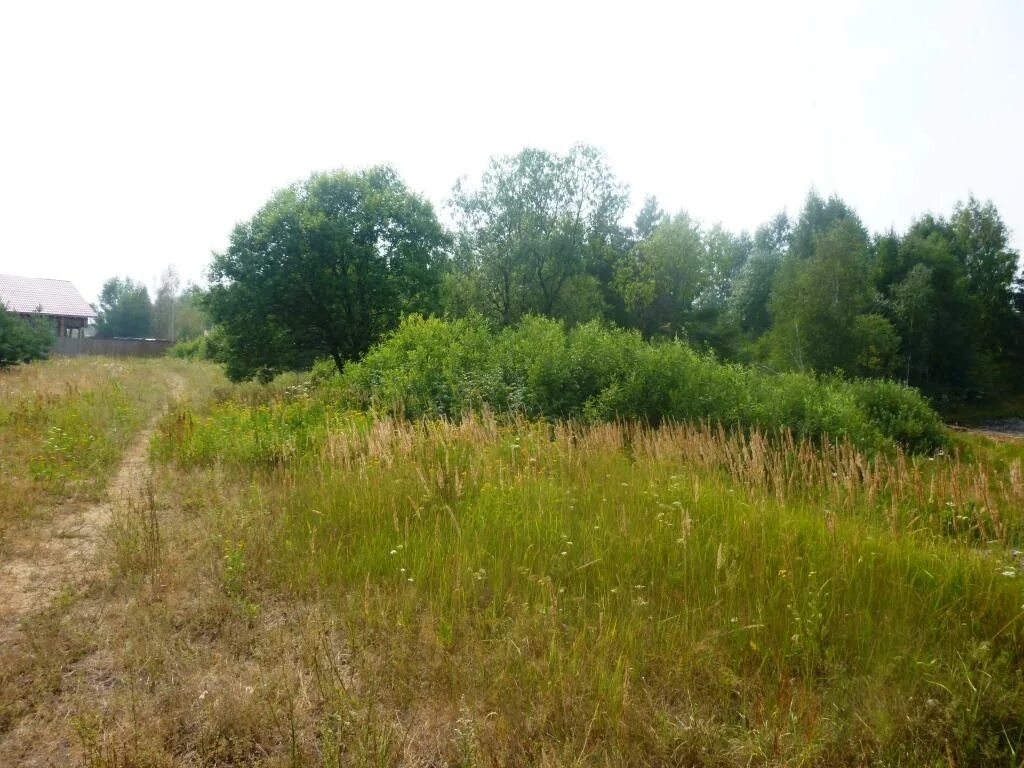 Богунино тверская область. Деревня кутачи. Садовое товарищество чайка дубна. Земельные участки в дубне. Деревня богунино кимрский район.