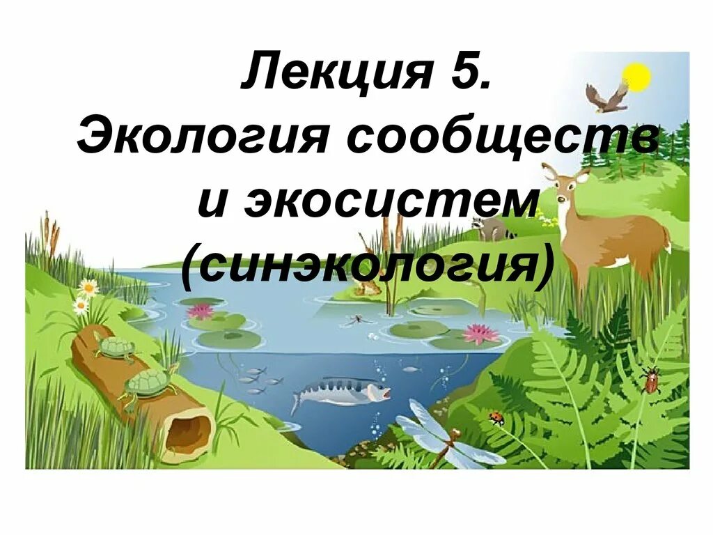 Экология сообществ называется. Экология сообществ и экосистем. Сообщество это в экологии. Экосистема это в экологии. Экология сообщества это в биологии.