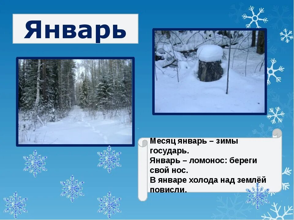 Прочитайте почему так говорят месяц январь зимы. Месяц январь. зимние месяцы. январь для презентации. презентация на тему зима январь.