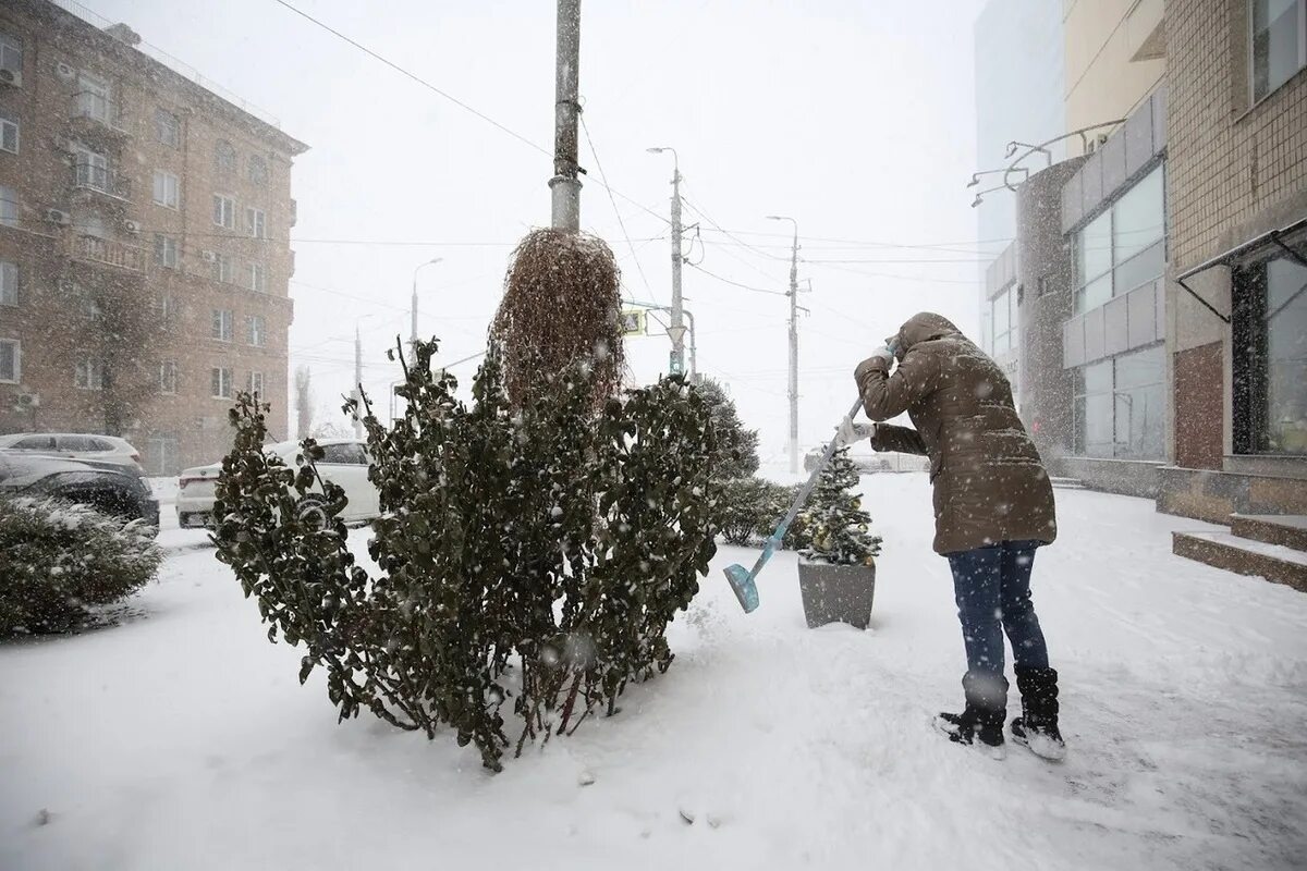 Влюбленные под снегом. Правда под снегом. Снегопад в городе. Собака в сугробе. Травка из под снега.