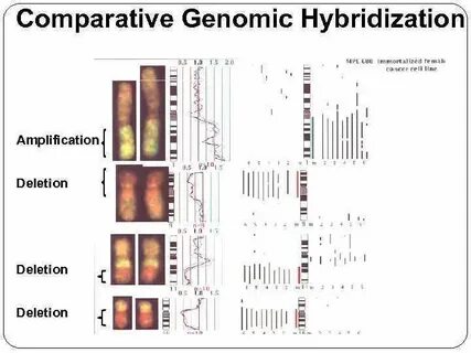 Comparative genomics
