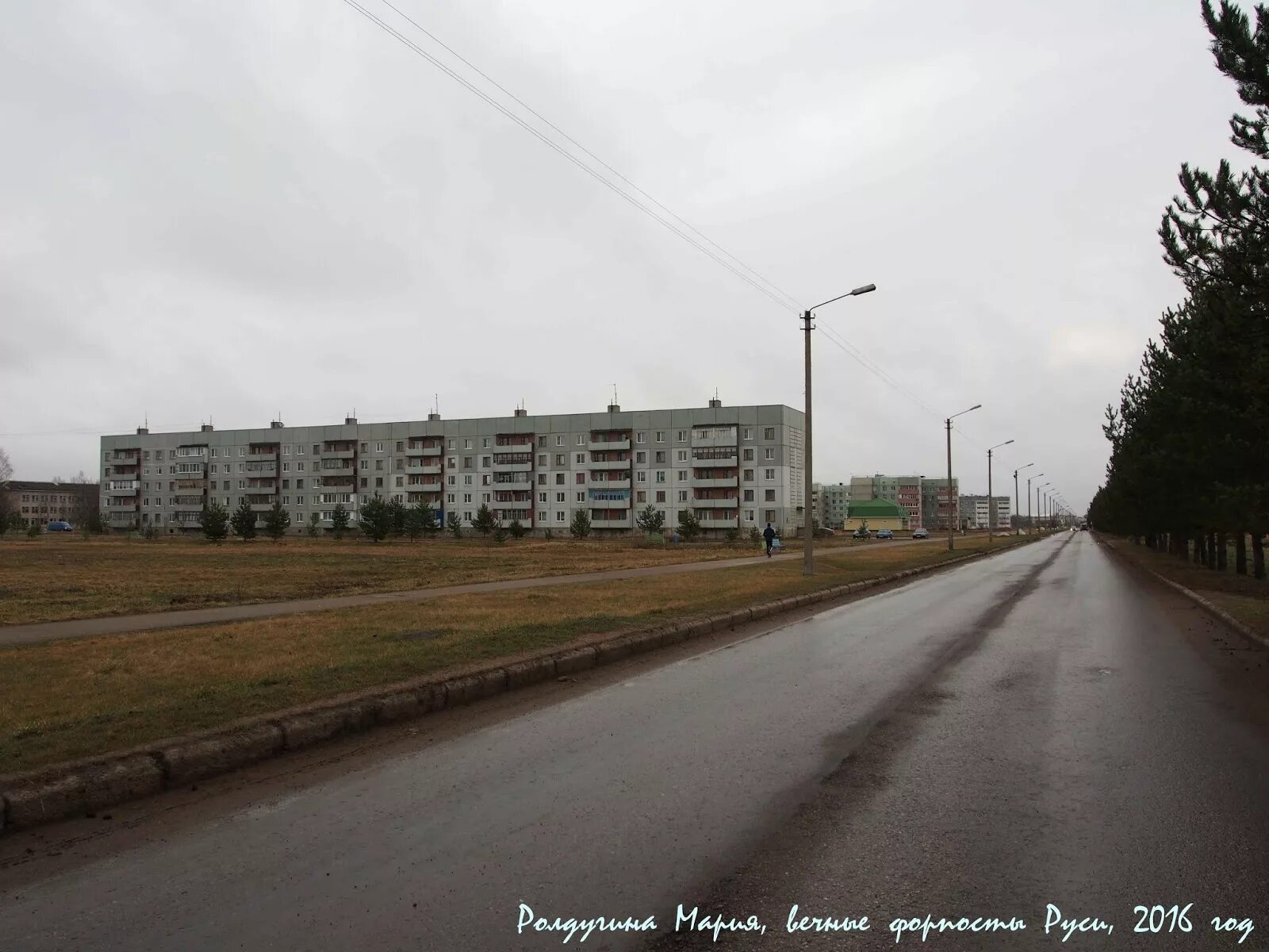 Поселок Пионерный Дедовичи. Дедовичи Псковской области. Деревня Дедовичи Псковской области. Гостиница Русь Дедовичи.