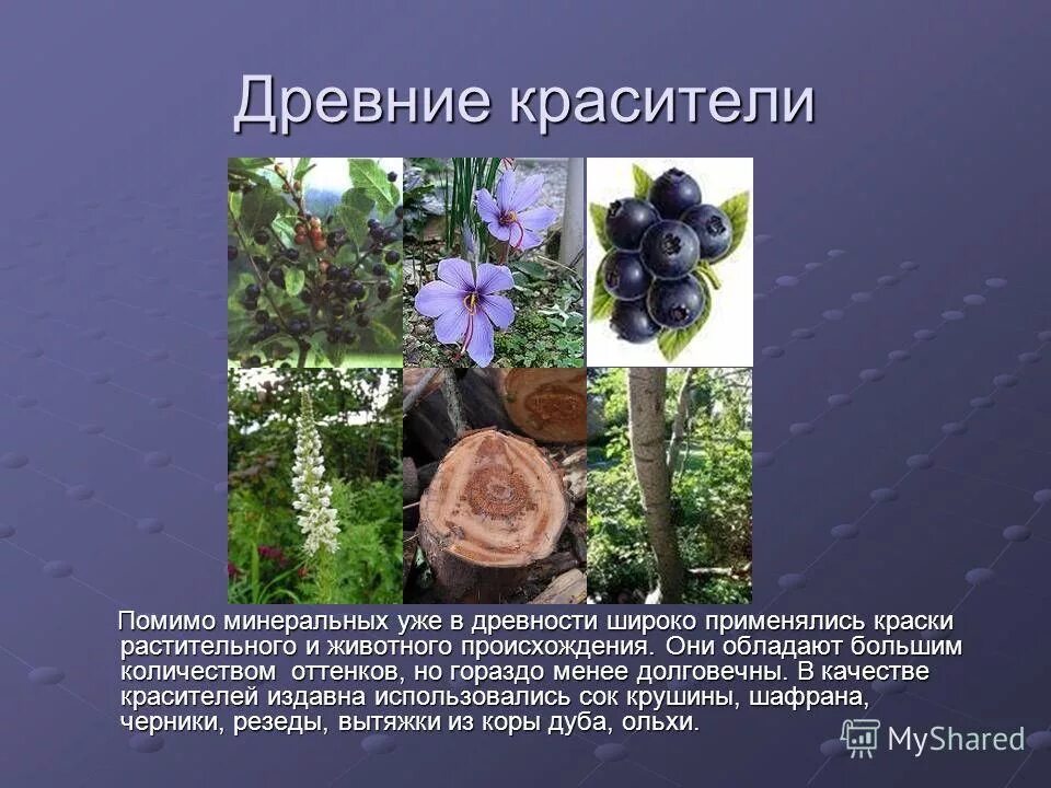 природные и искусственные красители. сырье для красок. природные красители в древности. пигмент животное. минералы красители.