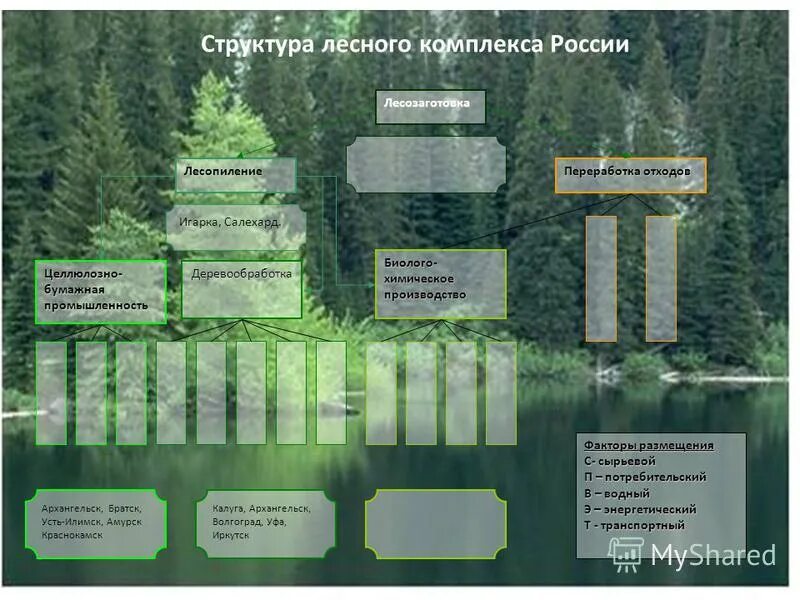 География лесного комплекса. Состав Лесной промышленности России. Структура лесного комплекса России. Состав комплекса Лесной промышленности. Структура Лесной промышленности России.