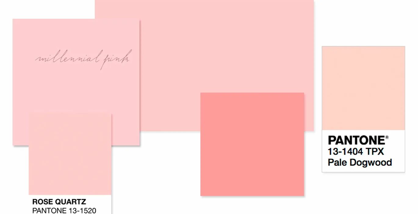 Pantone rose. Pantone нежные цвета. пудровый цвет cmyk. розовый цвет пантон. пудрово розовый цвет пантон.