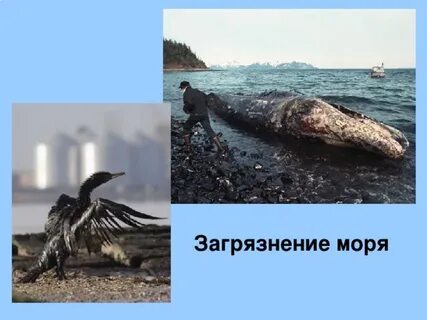 Решение проблемы загрязнения морей