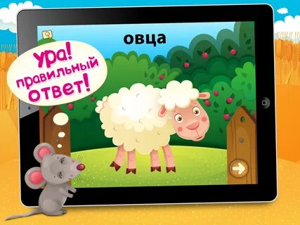 Ответ овца