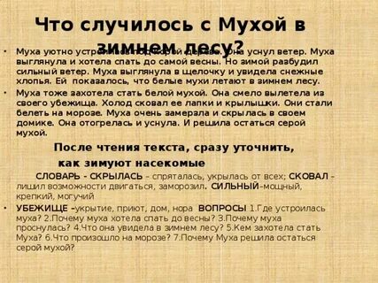 При какой температуре мухи впадают в спячку