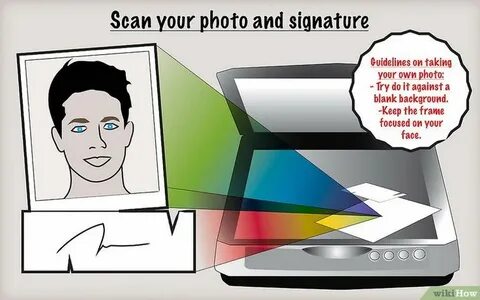 Your scan