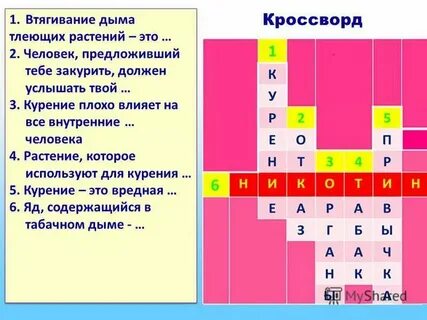 Проветривание лучшего друга кроссворд
