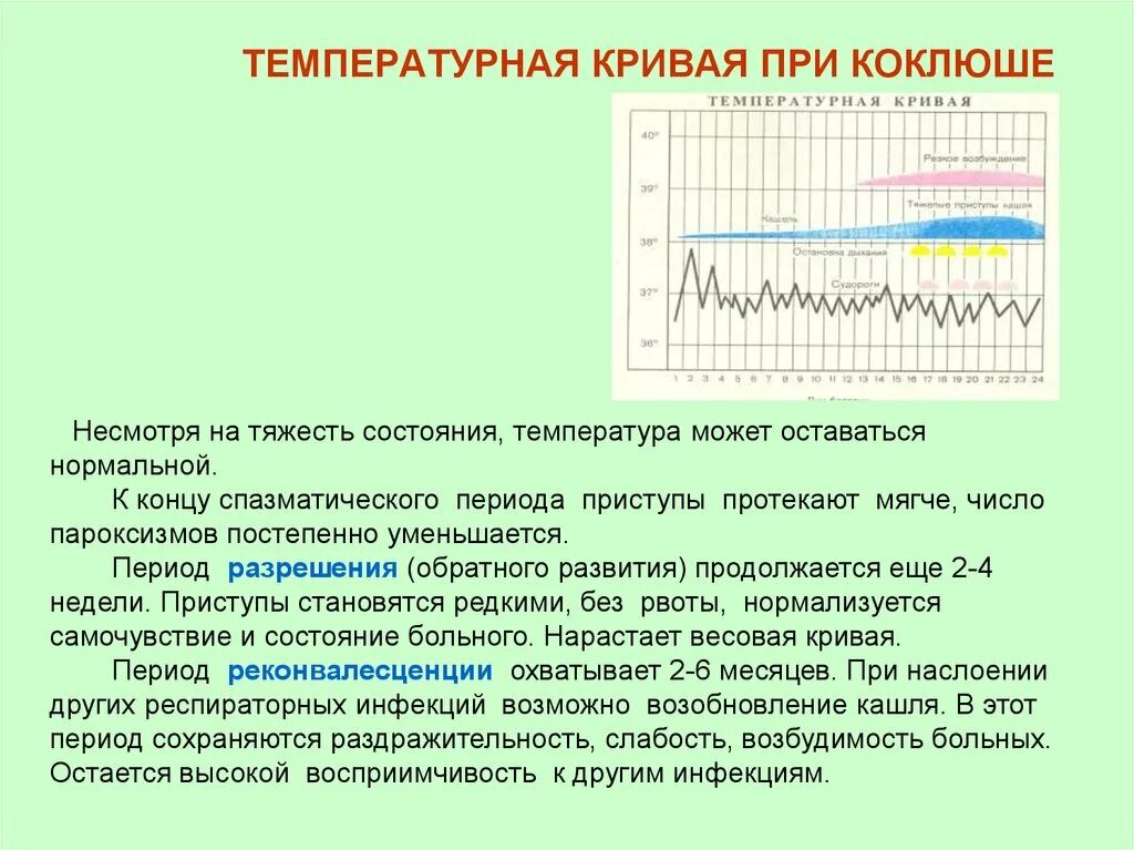 При коклюше бывает температура