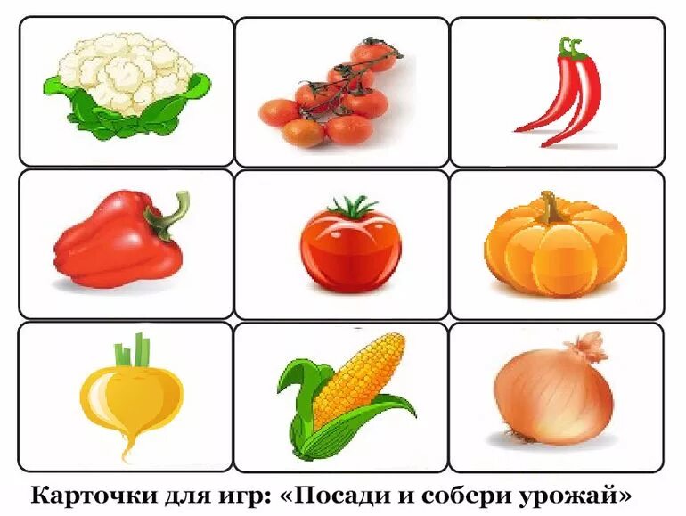 Варим суп и компот игра для детей. Карточки овощи для детей. Карточки с изображением овощей. Дидактические игры для детей овощи. Карточки овощи для дошкольников.