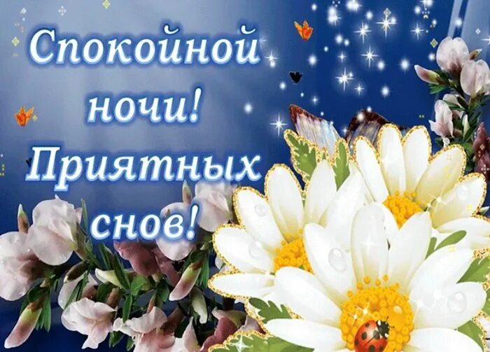 Открытки спокойной ночи с ромашками. Доброй ночи картинки пожелания женщине весенние красивые. Открытки спокойной ночи до завтра. Цветы ночью. Спокойной весенней ночи.