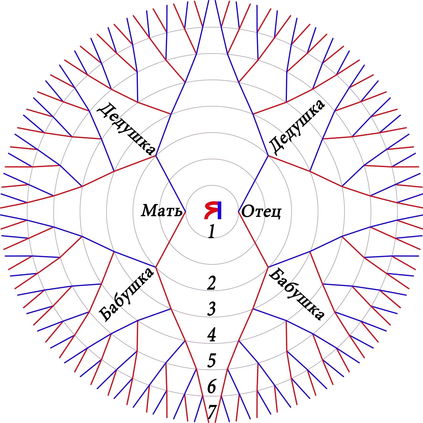 Схема рода человека. Мандала рода. Мандала рода схема. Родовая Мандала. Мандала Древо рода.
