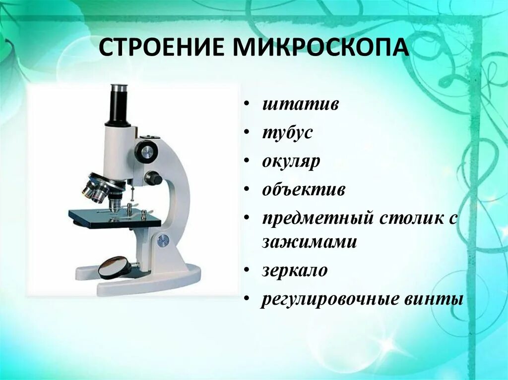 Биология 5 кл строение микроскопа. Микроскоп строение микроскопа. Строение микроскопа 7 класс биология. Строение микроскопа 5 класс цифрового микроскопа.